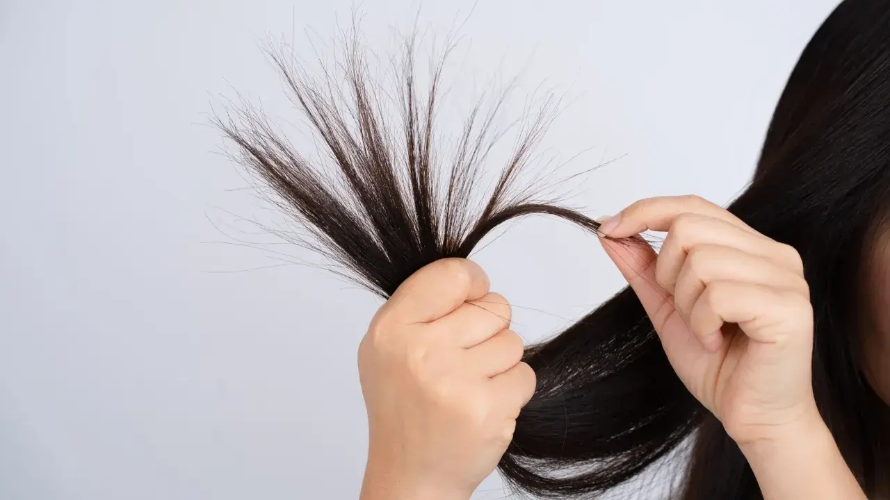 Mani che esaminano ciocche di capelli scuri, mostrando le doppie punte come causa di capelli danneggiati e secchi.