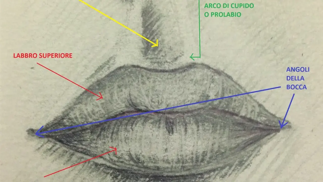 Disegno a matita che illustra come disegnare le labbra, con frecce che indicano philtrum, arco di Cupido, labbro superiore, labbro inferiore e angoli della bocca.