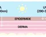 Diagramma che mostra raggi UVA e UVB penetrare la pelle. Capire quando mettere la crema solare è fondamentale per proteggersi.