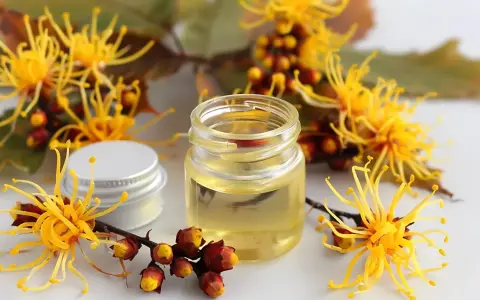 Un vasetto di olio dorato circondato da fiori gialli e boccioli rossi. L'amamelide cos'è? Un rimedio naturale.