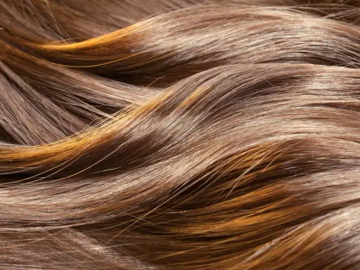 Capelli castani con riflessi dorati, dall'aspetto secco e opaco, come capelli rovinati dopo trattamento cheratina.