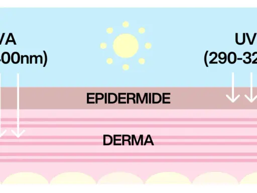 Diagramma che mostra raggi UVA e UVB penetrare la pelle. Capire quando mettere la crema solare è fondamentale per proteggersi.