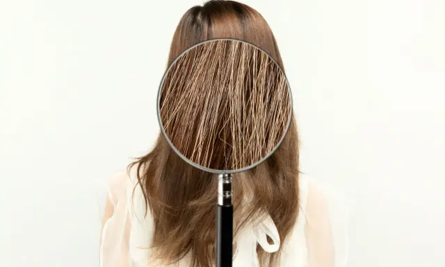 Ingrandimento dei capelli sfibrati, mostrando le cause di fragilità e secchezza.