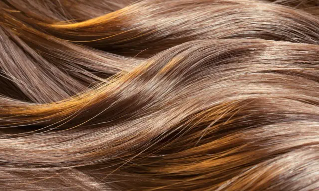 Capelli castani con riflessi dorati, dall'aspetto secco e opaco, come capelli rovinati dopo trattamento cheratina.