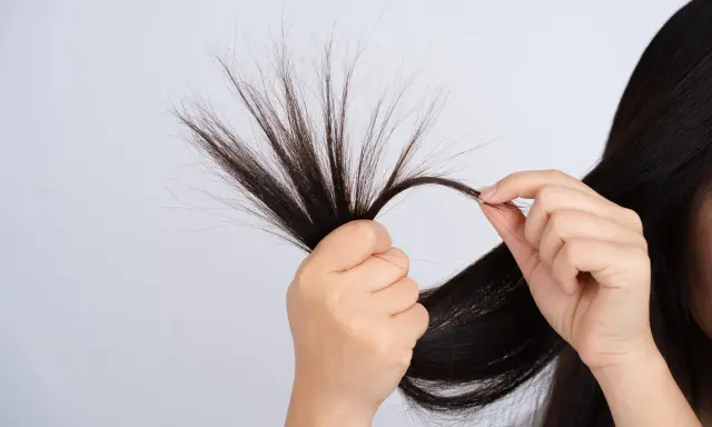 Mani che esaminano ciocche di capelli scuri, mostrando le doppie punte come causa di capelli danneggiati e secchi.