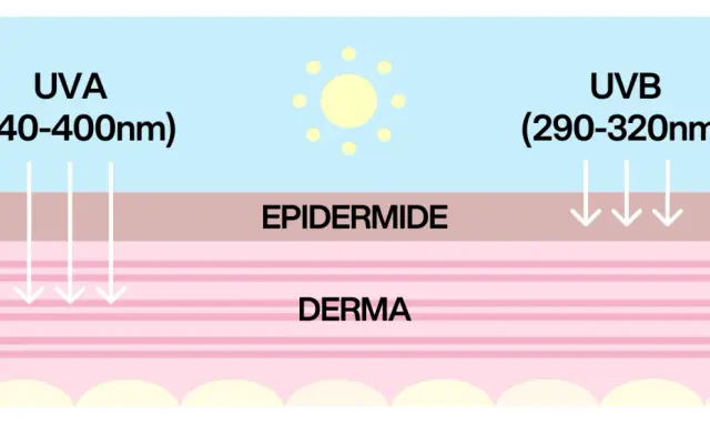 Diagramma che mostra raggi UVA e UVB penetrare la pelle. Capire quando mettere la crema solare è fondamentale per proteggersi.