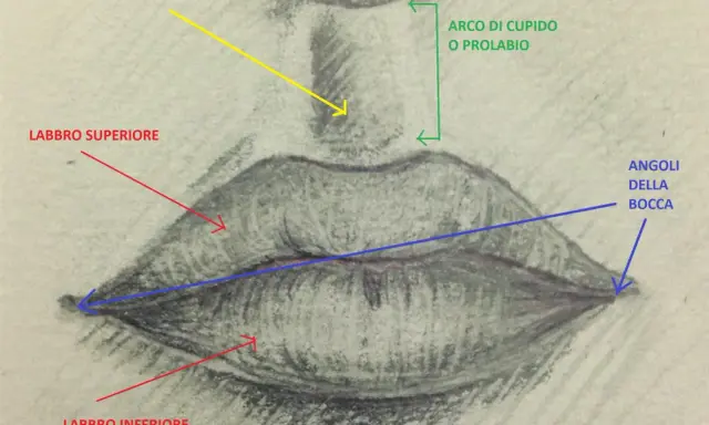 Disegno a matita che illustra come disegnare le labbra, con frecce che indicano philtrum, arco di Cupido, labbro superiore, labbro inferiore e angoli della bocca.