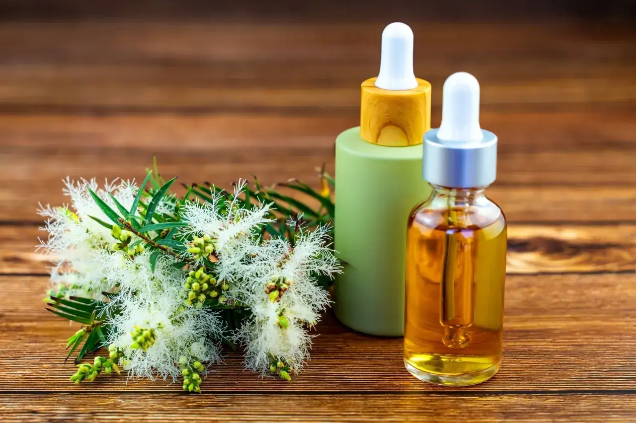 Olio di tea tree su brufolo schiacciato: un rimedio naturale per la pelle. Fiori bianchi e flaconi di olio su sfondo di legno.